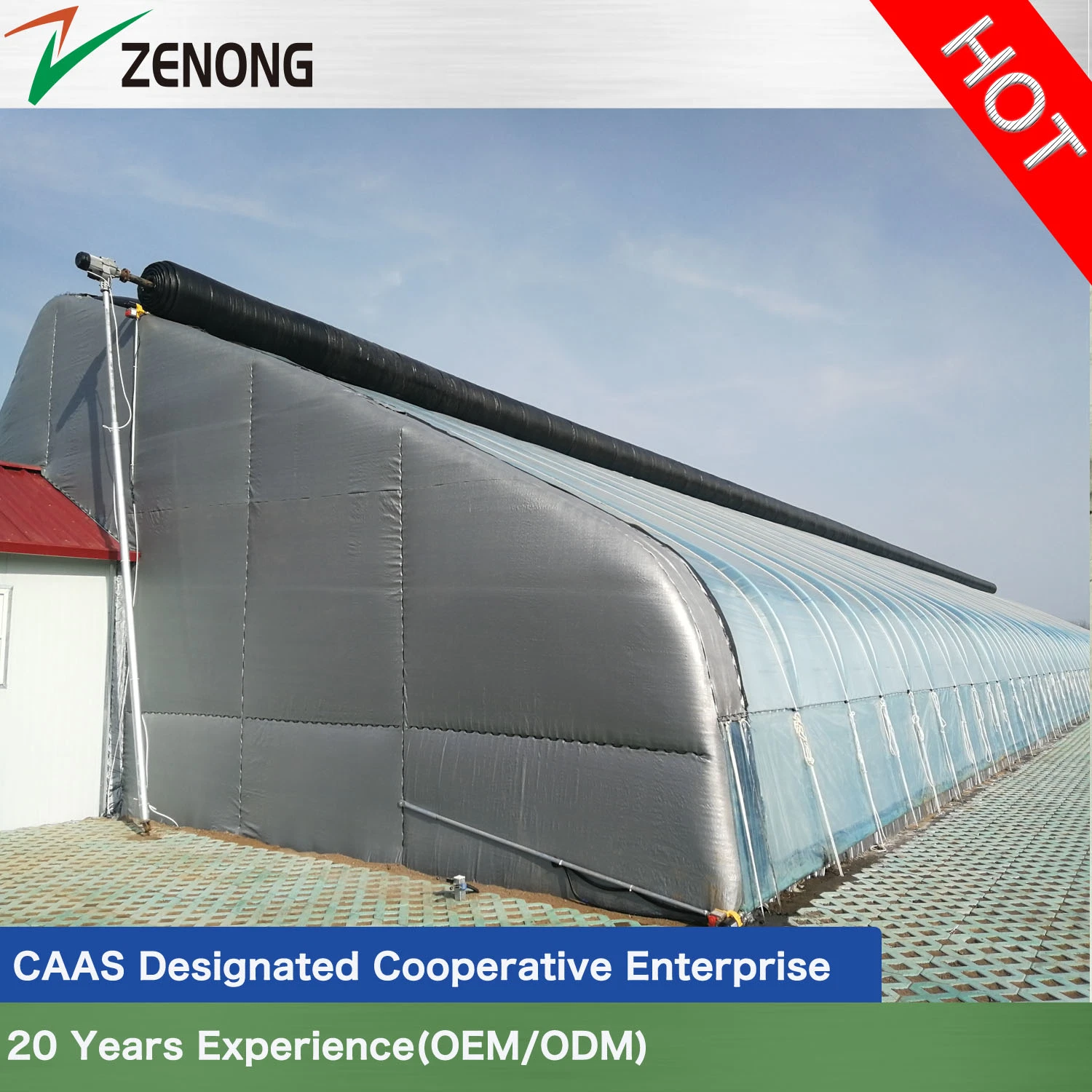 Easily Assembled Plastic Film Winter Solar Greenhouse From China