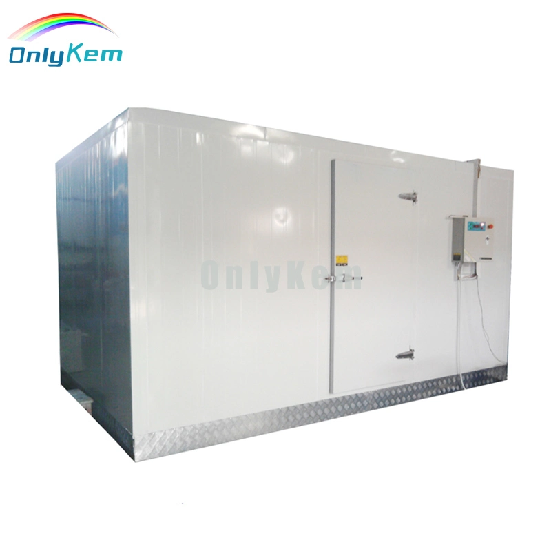 Sea Food Storage Refrigeration System Walk in Freezer Chiller Room