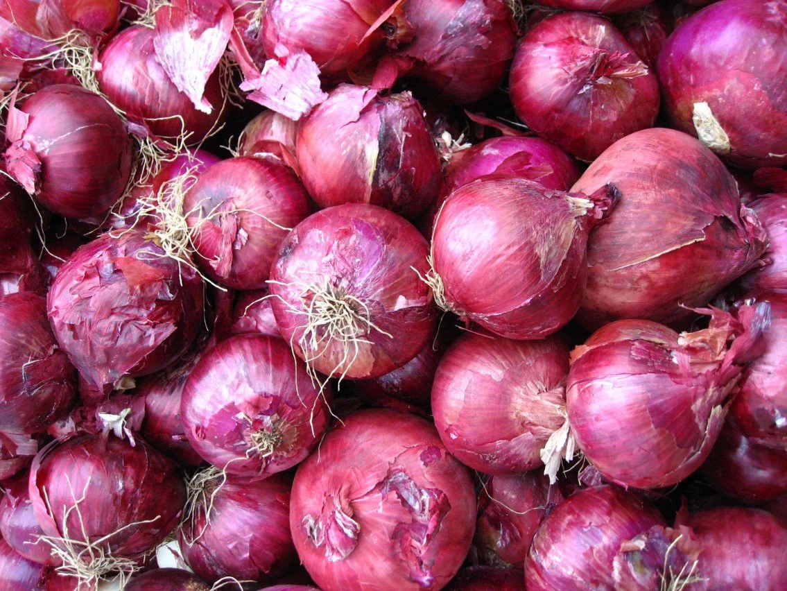 Red Onion Ginger Garlic Fruit Fresh Vegetables Onion with ISO HACCP Certification Mesh Bag 5kg 10kg Wholesale/Supplier