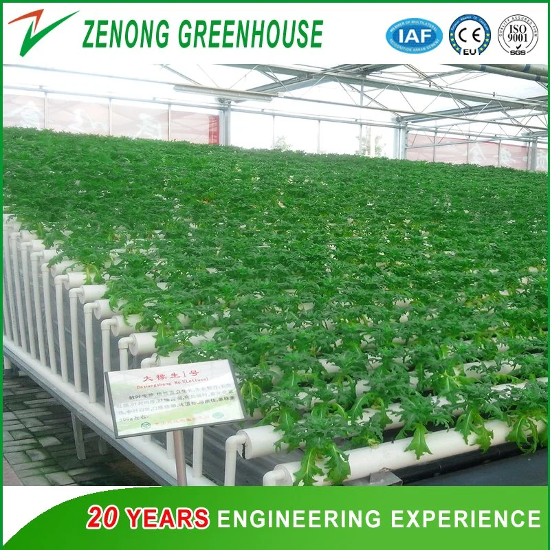 Intelligent Glass Green House with Hot DIP Galvanized Steel Frame for Hydroponics Cultivation