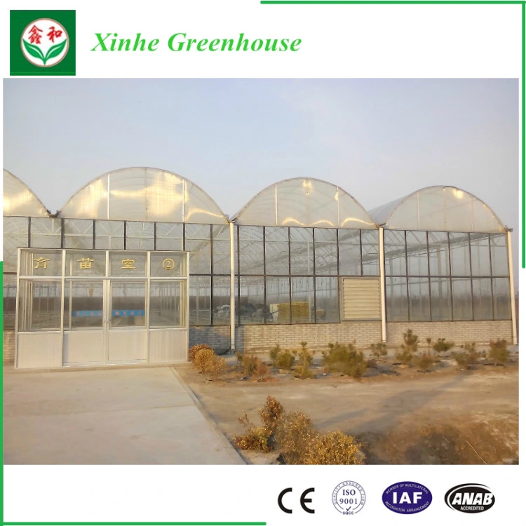 Automatic Control System Glass Green House for Agriculture