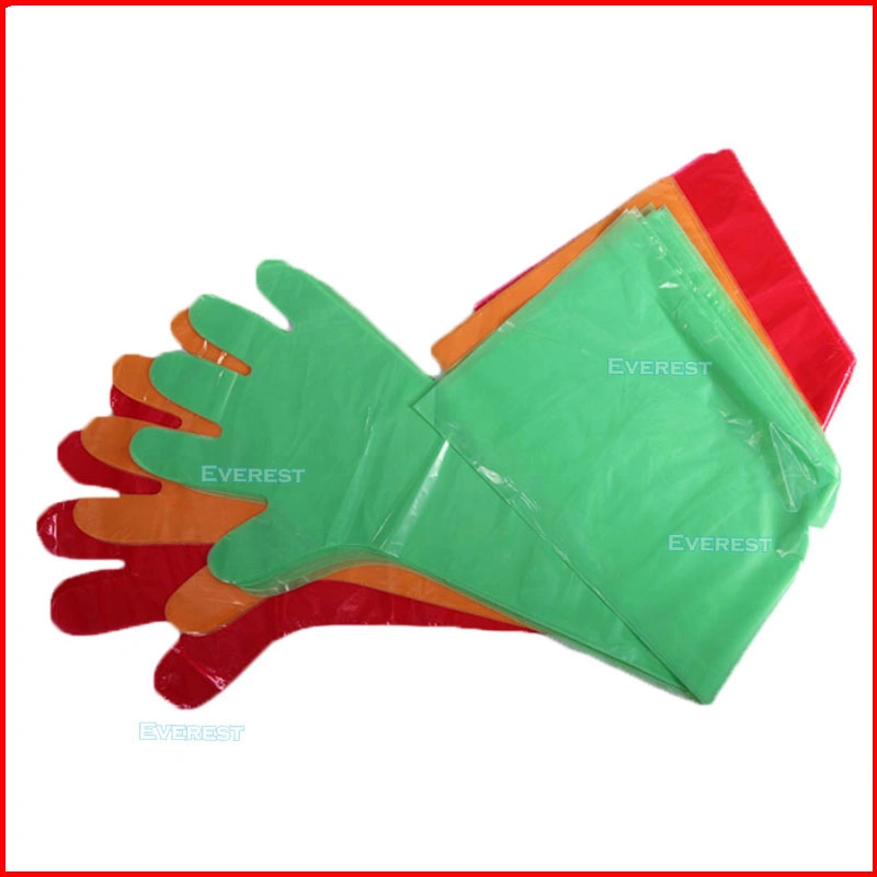 Household/Surgical/Medical/Plastic/Polyethylene/CPE/HDPE/LDPE/PVC/ TPE/Veterinary/Examination Disposable Vinyl Gloves, Disposable PE Gloves