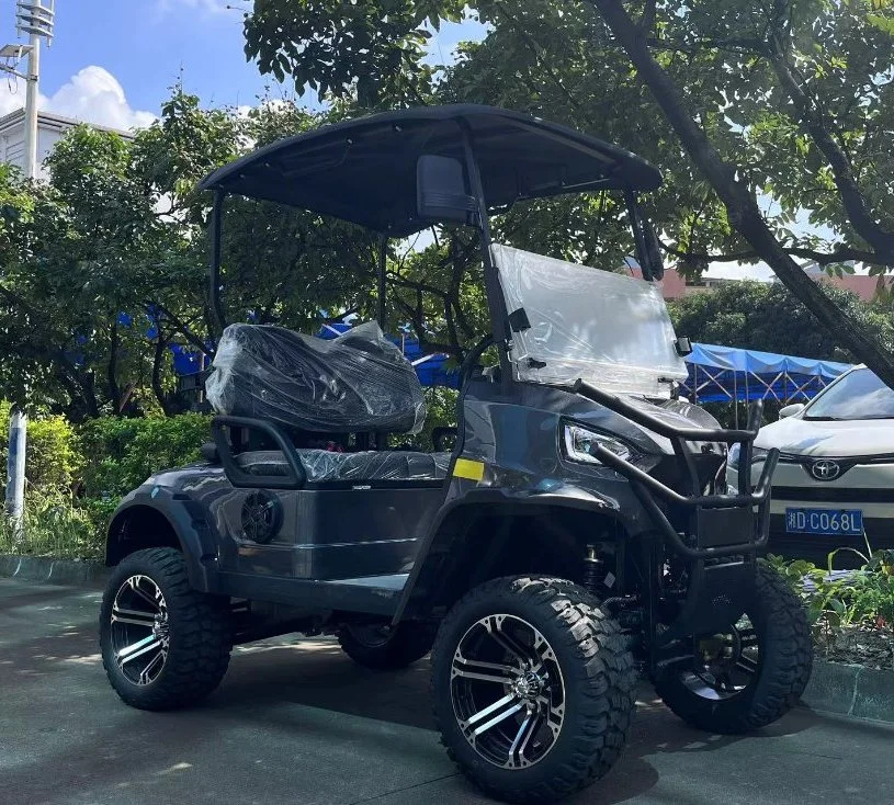 2 plazas de caza eléctrica Golf de carros de buggy con buen precio