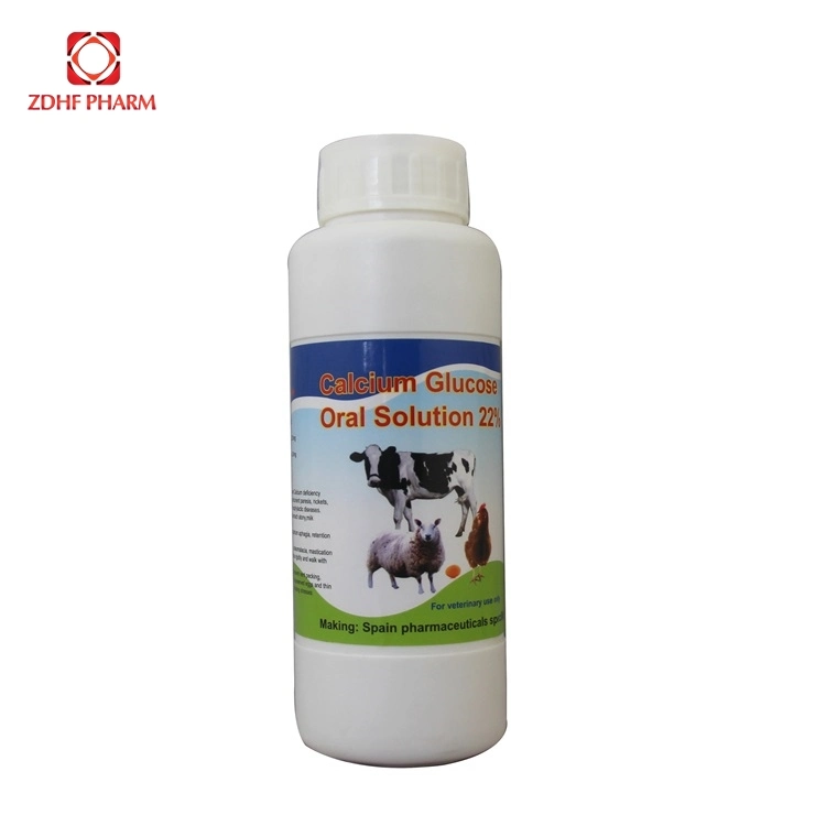 22% Calcium Glucose Oral Solution for Cattle Cow