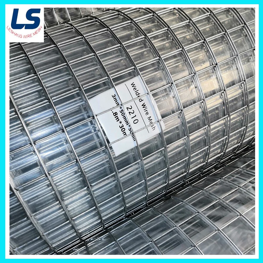 Galvanized /PVC-Coated /Stainless Steel Welded Wire Mesh for Fencing