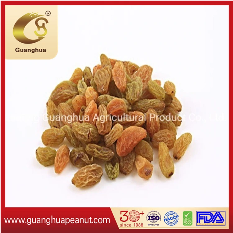 Healthy and Original Green Raisin From China