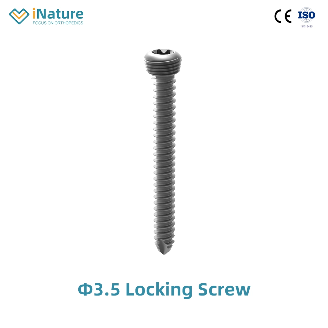 Top Quality Locking Screw Self-Tapping Orthopedic Screws