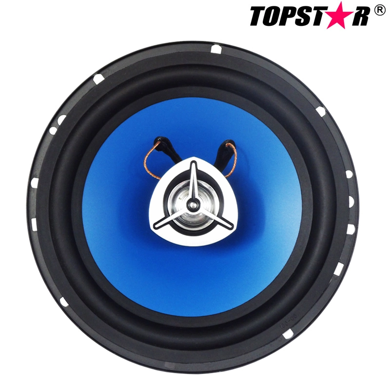 haut-parleur fort Ts-S0037-1 de subwoofer Stronge de pouvoir de 6.5 '' de haut-parleur élevé de véhicule