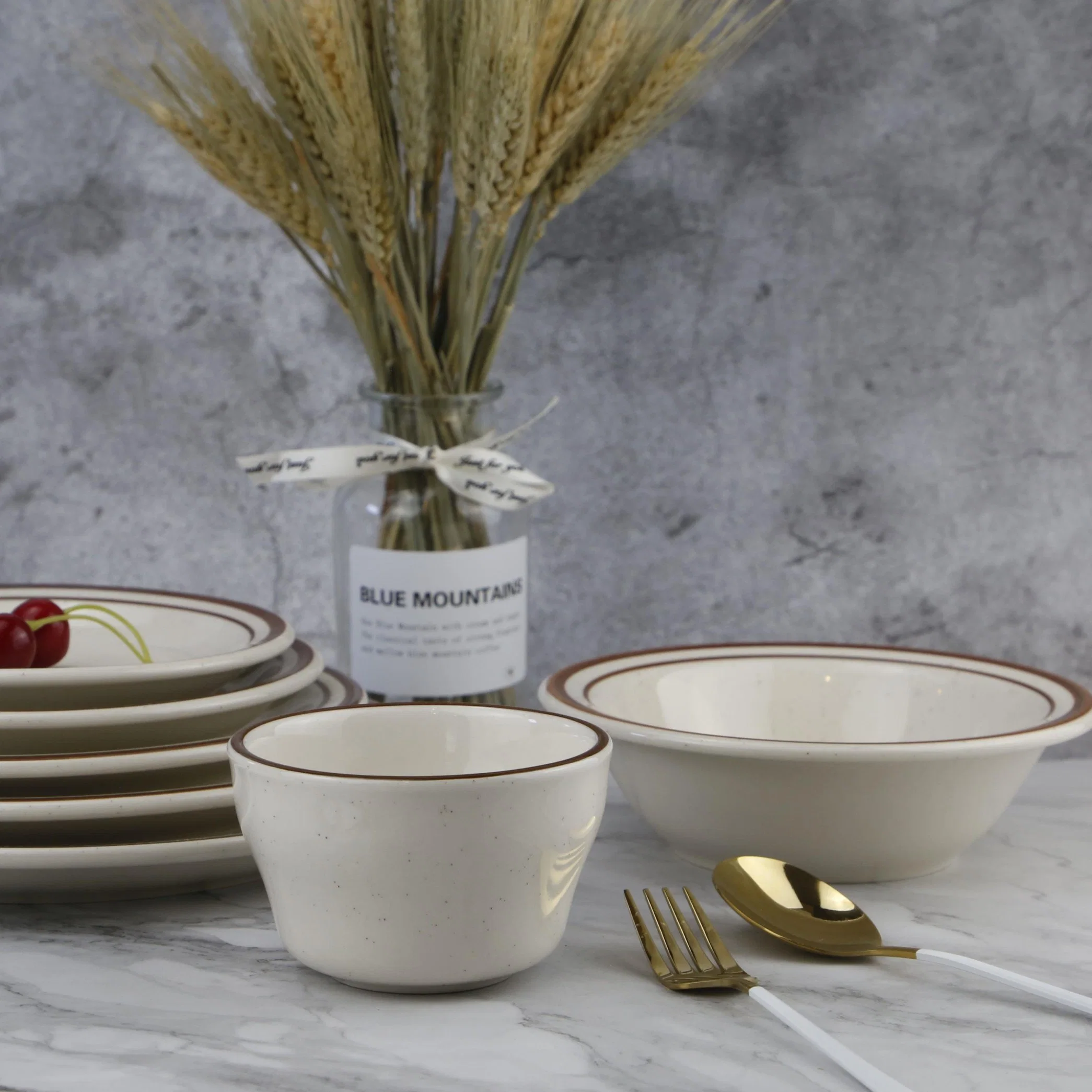 Hot Sale Hand-Painted Brown Rim Spice Dinnerware Set