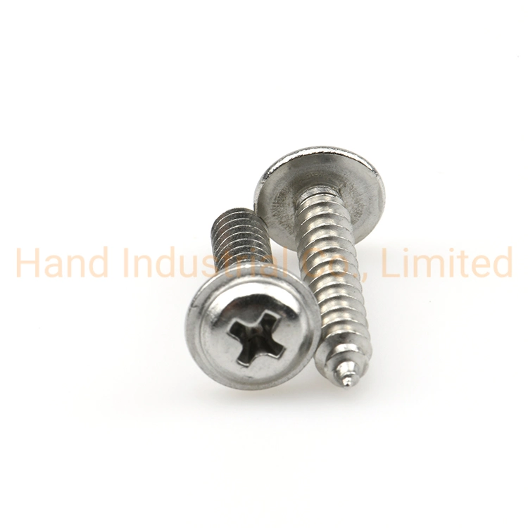 Stainless Steel 304 M3 5mm Phillips Pan Wafer Head Self Tapping Screws for Plastic