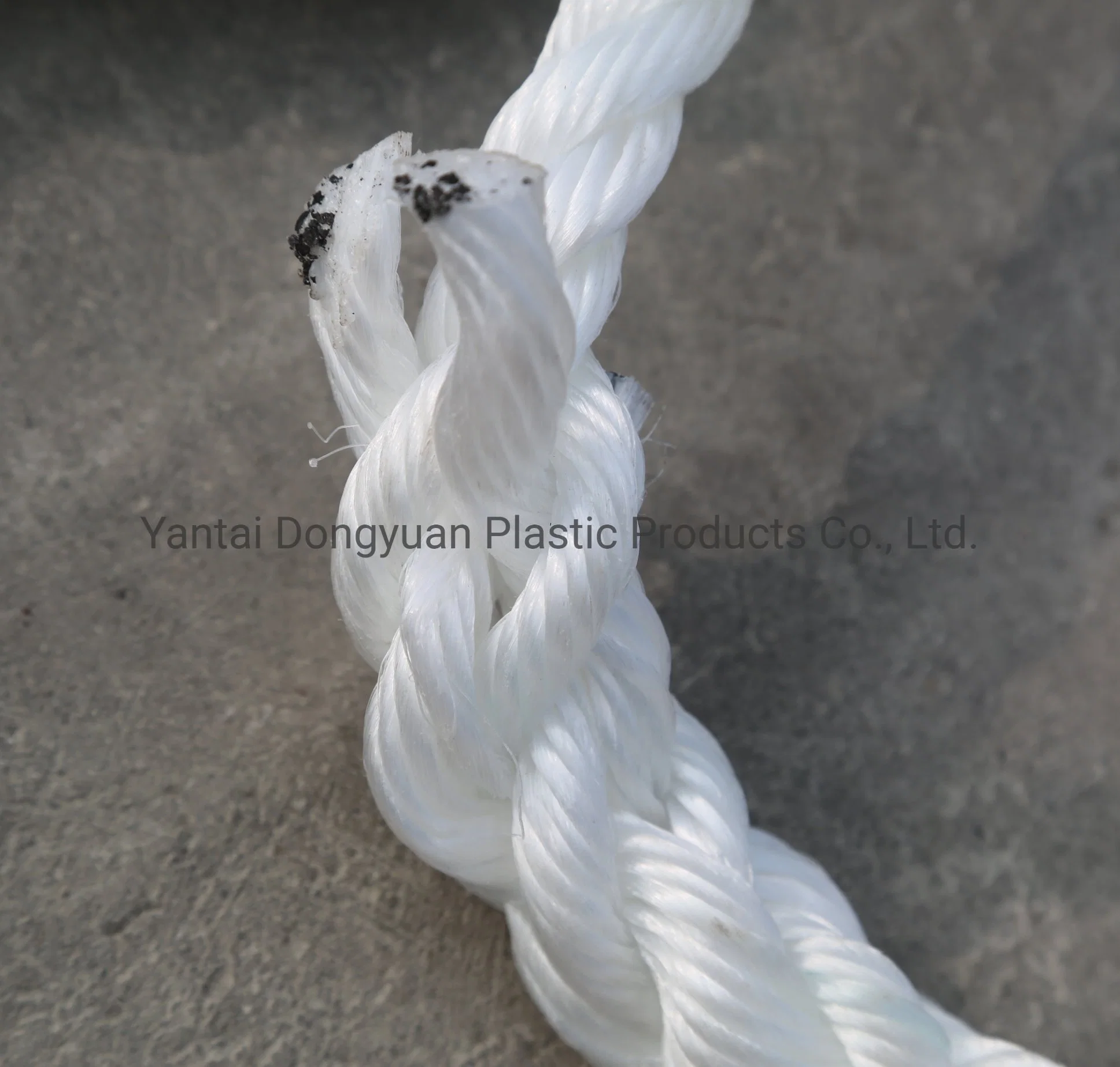 PP Webbing Nets Made of Plastic Ropes