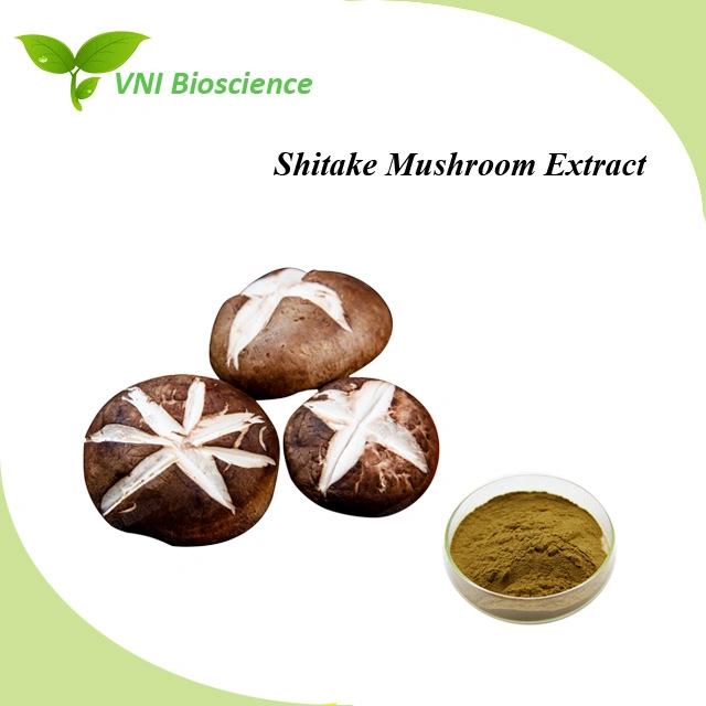 Kosher Halal Certified High quality/High cost performance Shiitake Mushroom Extract