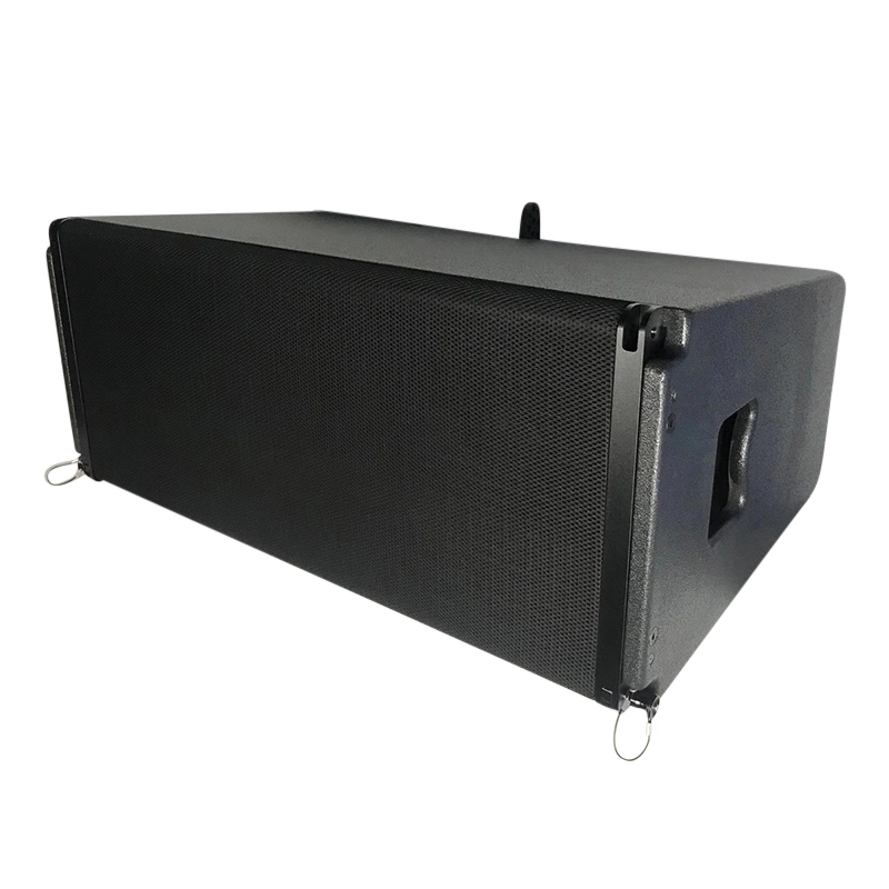 Dual 12 Inch Super Compact Line Array for Outdoors and Indoors Vera24