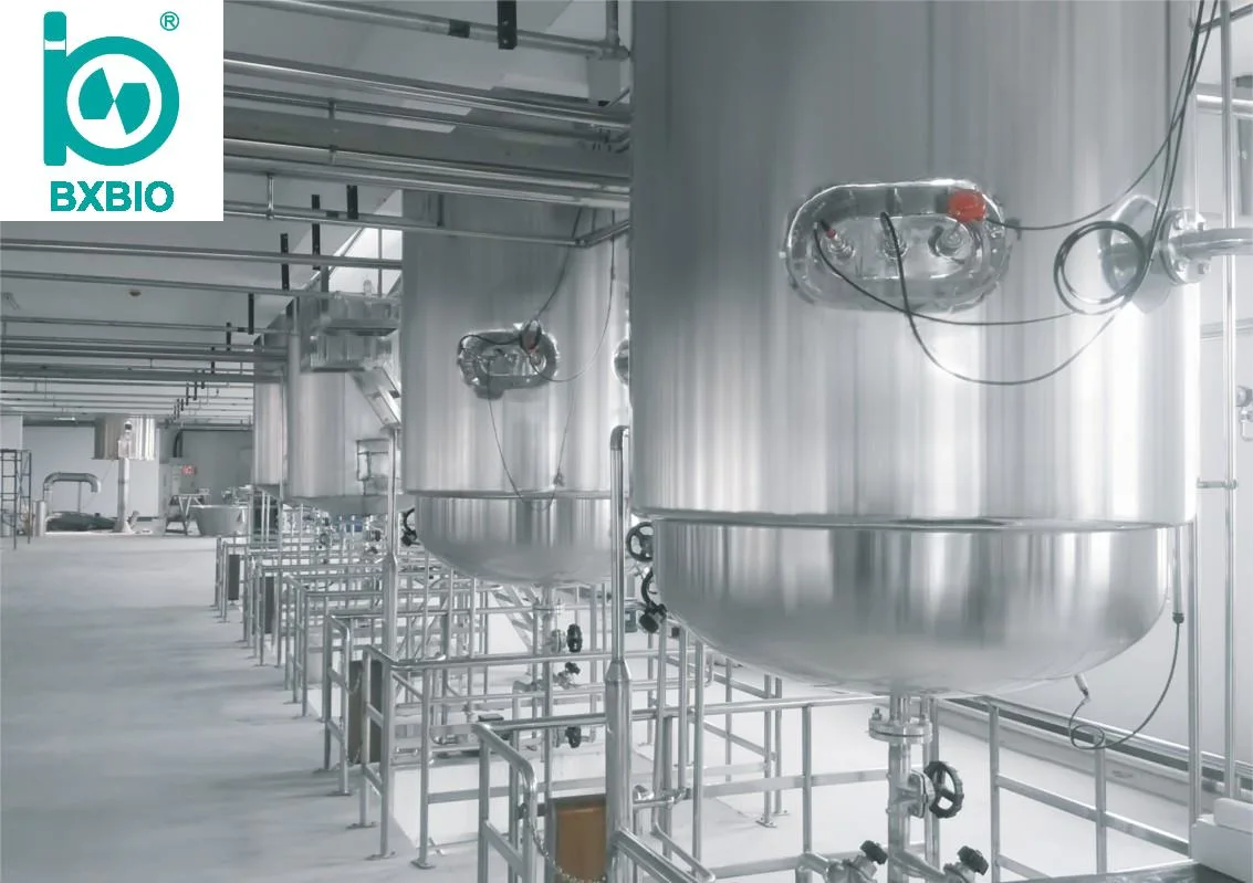 Bxbio 1t 2t Großprojekt Fermentation Tank Fermenter Bioreaktor für die Pharmaindustrie