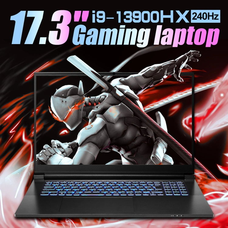 17.3 pulgadas portátil de juegos I9 13900HX Wi-Fi 6e Ax21 Bt Cnvi M. 2 de 2230 24 Hz portátil