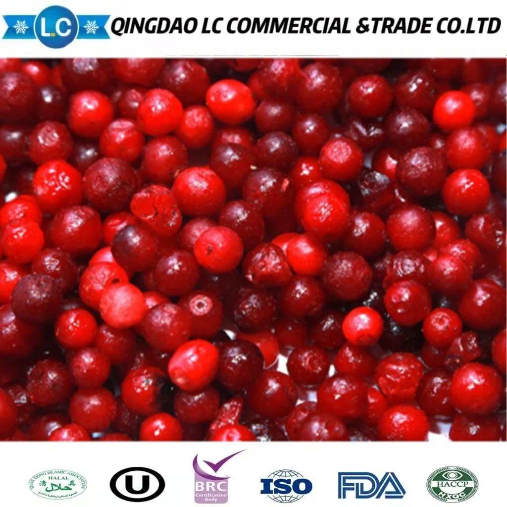 China Frozen Fruit Frozen Wild Lingonberries