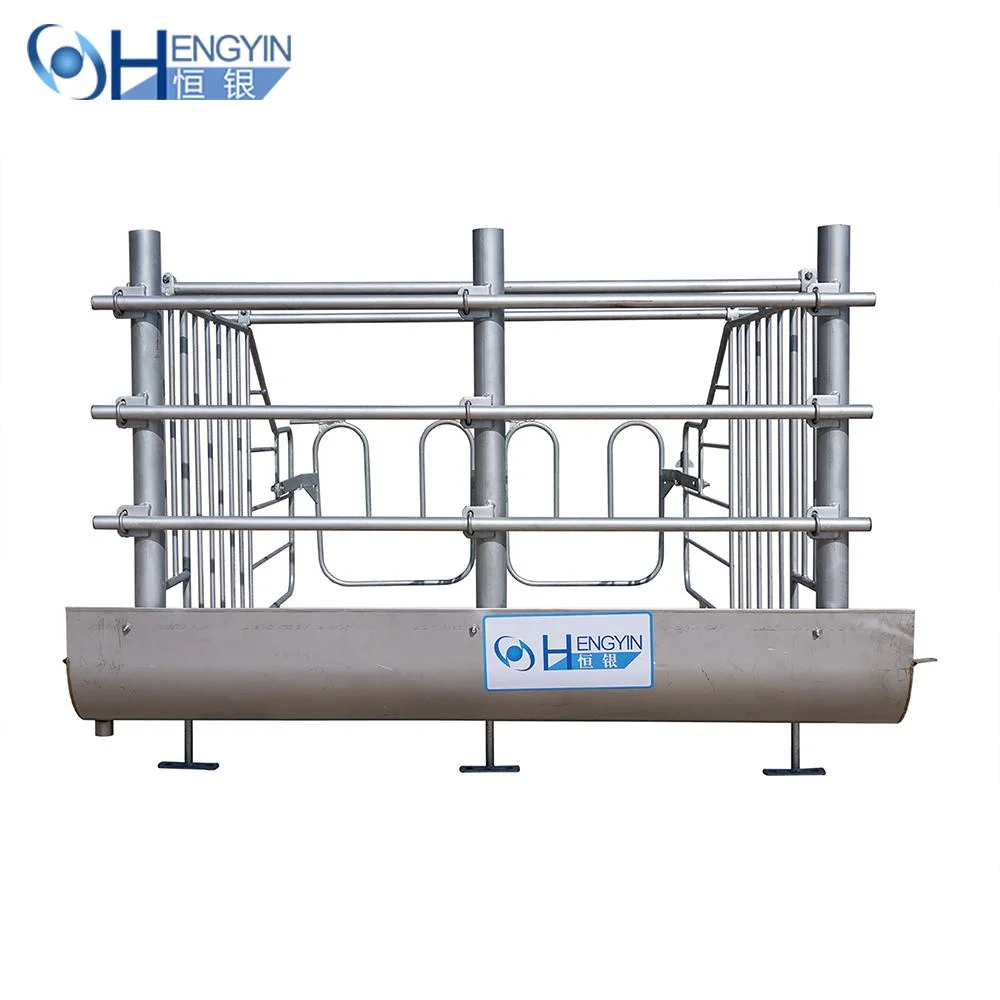 Hot DIP Galvanized Stall Gestation Crates for Pigs