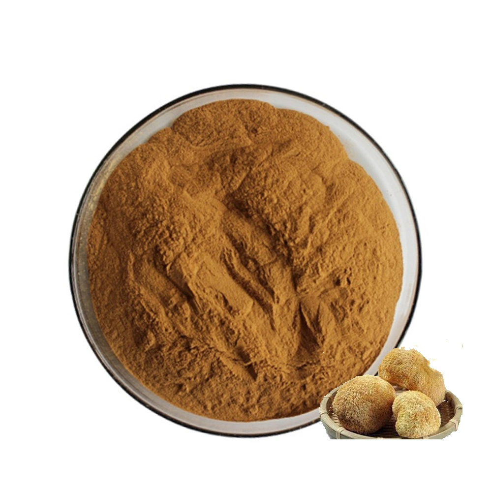 High Quality Lions Mane Mushroom Extract Powder