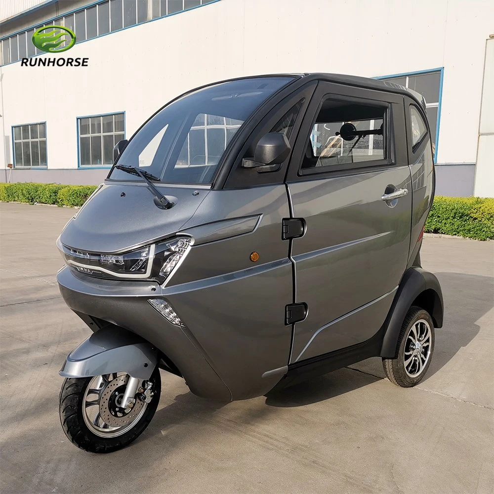 Three Wheel Driver Cabin Cargo Motor Trike for Cargo for Sale