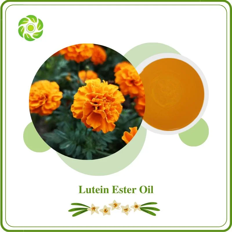 Lutein Ester Oil 10% 20%; High quality/High cost performance  Plant Extract