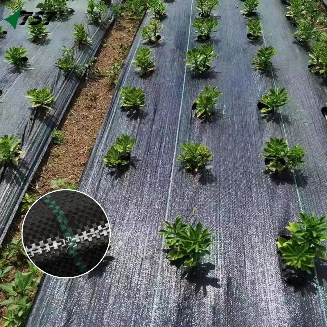 UV Protection PP Agricultural Plastic Weed Mat Ground Cover