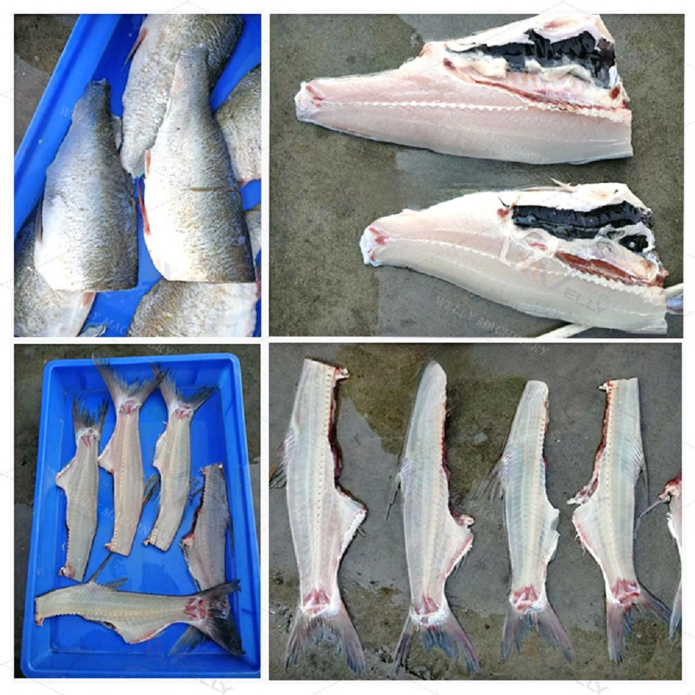 China Commercial White Fish Tilapia Herring Fillets Machine Amberjack Hake Tuna Fish Filleting Machine Machine Fillet Fish