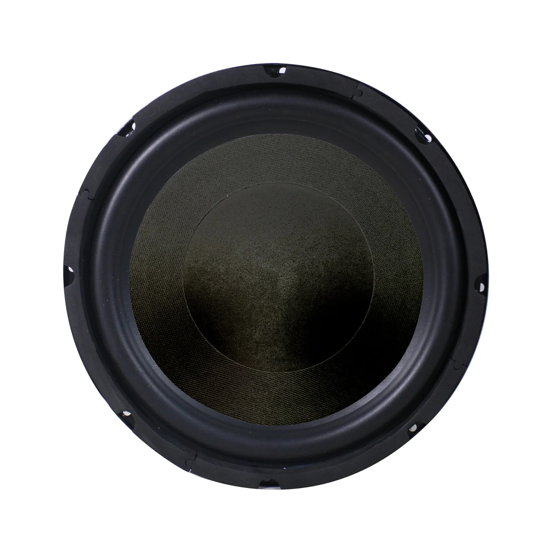 150W 10 Inch Subwoofer Speaker Driver for Home Audio System, Public Address Broadcasting System