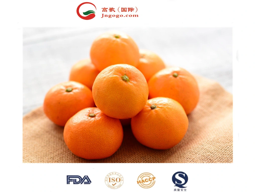 Frisch, Süß, Qualitativ Hochwertiger Mandarin Wogan Mandarin Aus China