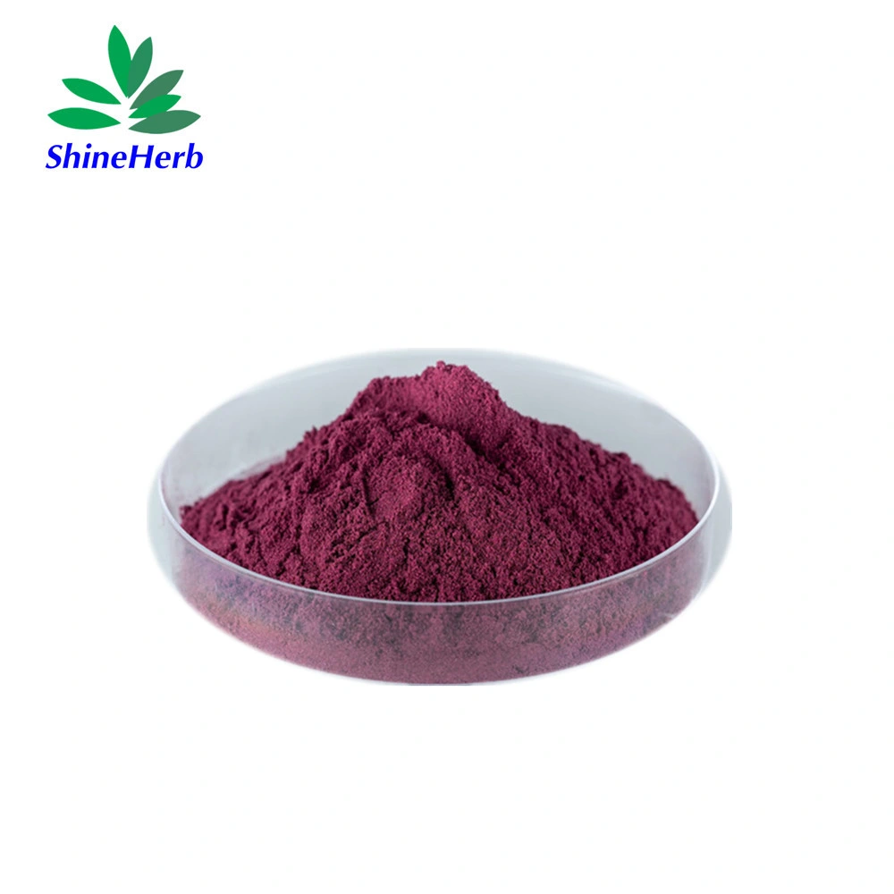 100% Natural Chokeberry Extract Powder Anthocyanin 5%-25% Aronia Berry Extract