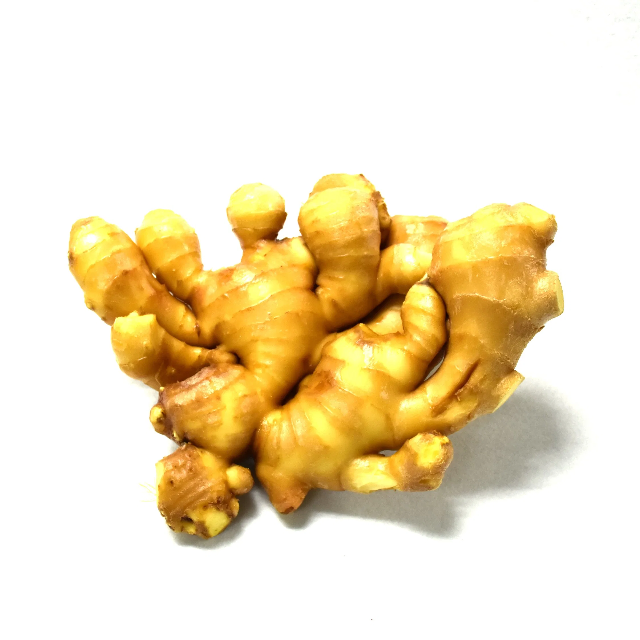 Air Dry Ginger and Air Dry Ginger Market Price Per Ton