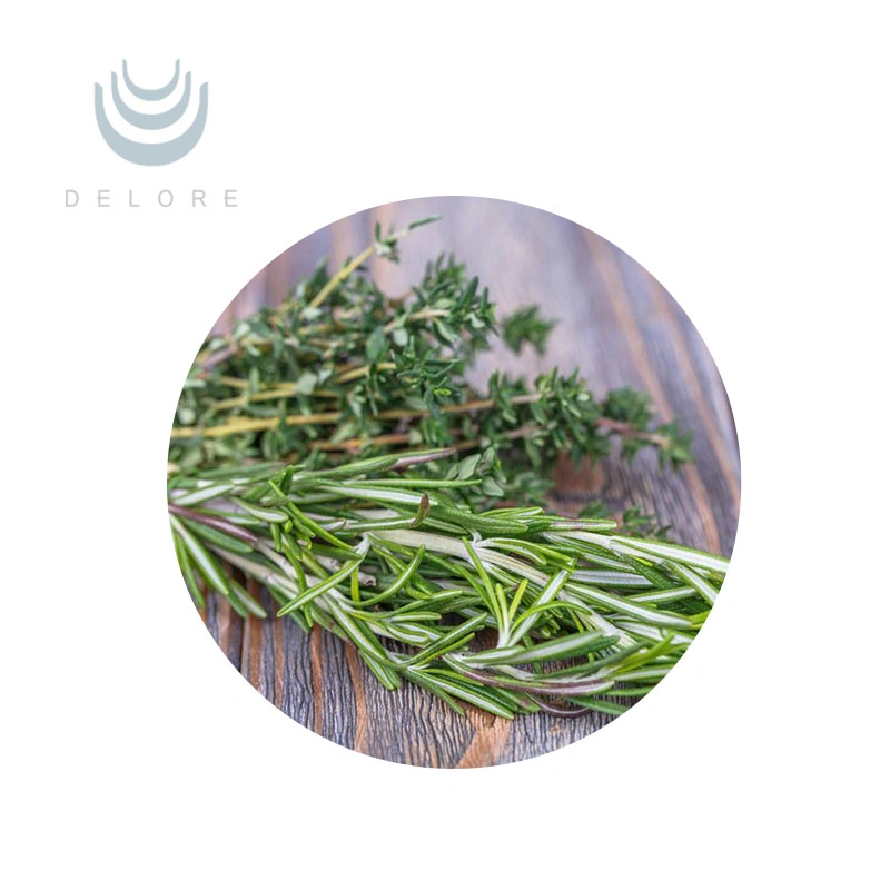 Antioxidants Plant Extract Water Soluble Rosemary Extract Rosmarinic Acid Rosemary Powder Extract