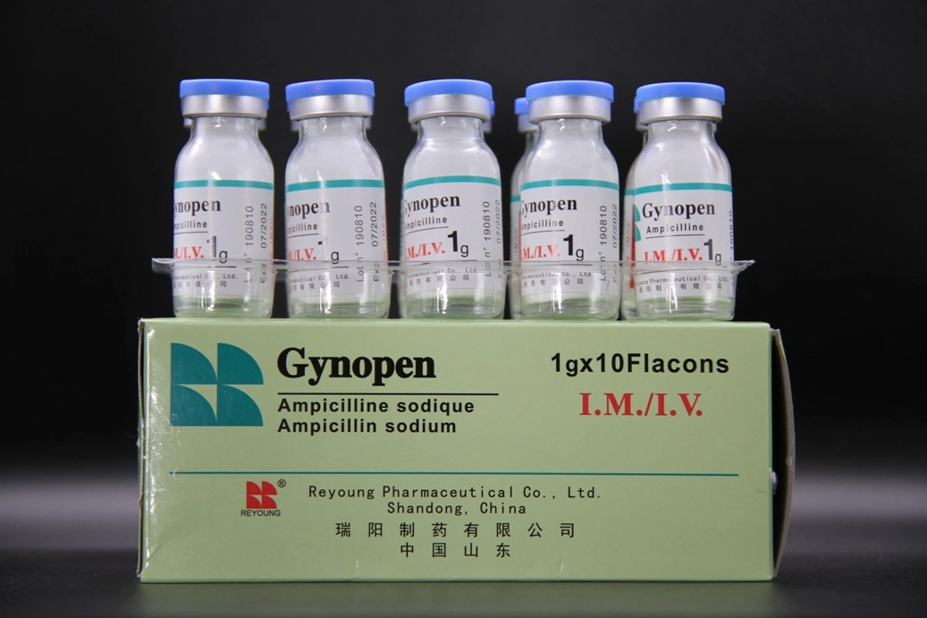 GMP Certified Ampicillin Sodium for Injection