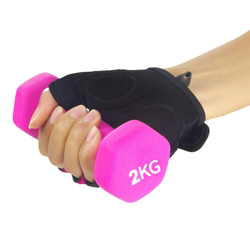 Home Gym Equipment Workouts Strength Training Hand Weight Dumbbell