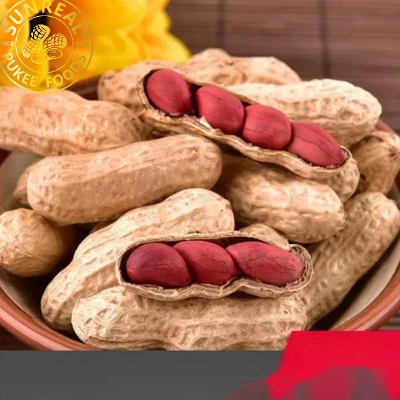 China Raw Red Skin Peanut in Shell/Superior Quality/Fine Packing/Multipurpose