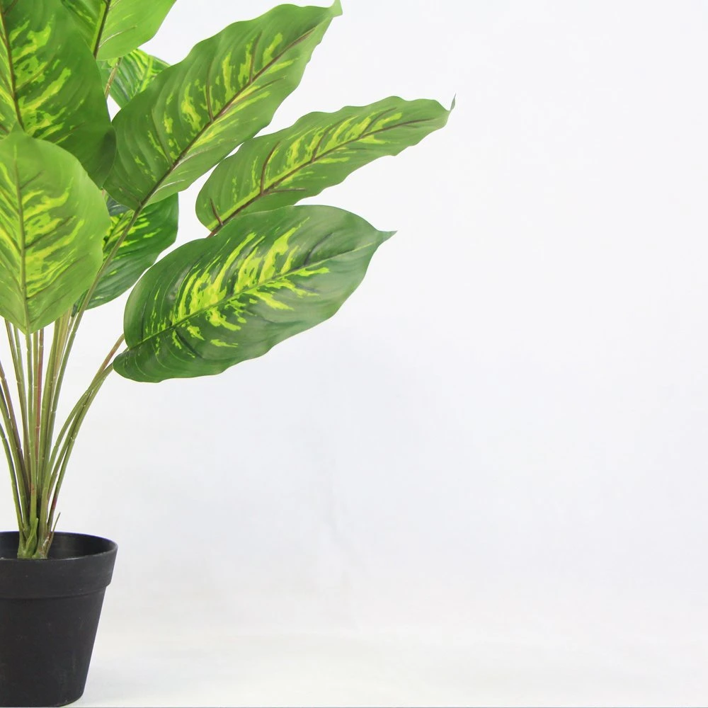 Most Beautiful Inexpensive Green Plant Potted for Outside Decoration