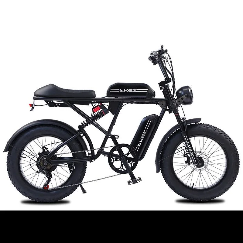 China Cheap 20 Inch Retro off-Road Mountain Electric Bike Fat Tire Snow Beach Electric Bicycle