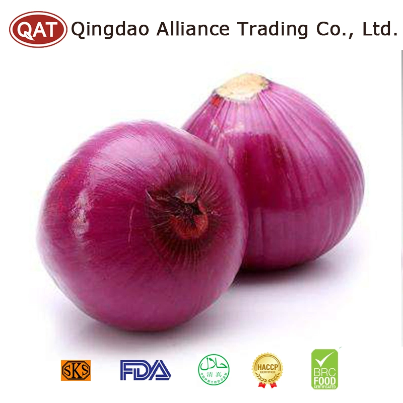 Wholesale Bulk Price Fresh Peeled Whole Purple White Onion Fresh Red Yellow Purple Peeled Onion for Exporting
