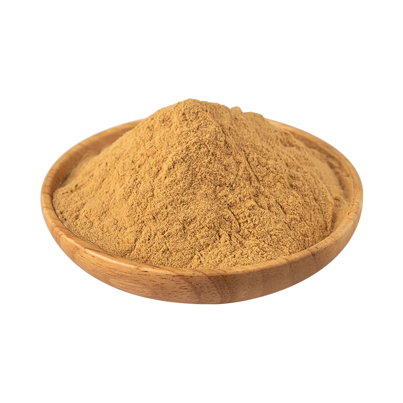 ISO9001 Certified Astragalus Root Extract with Factory Price China