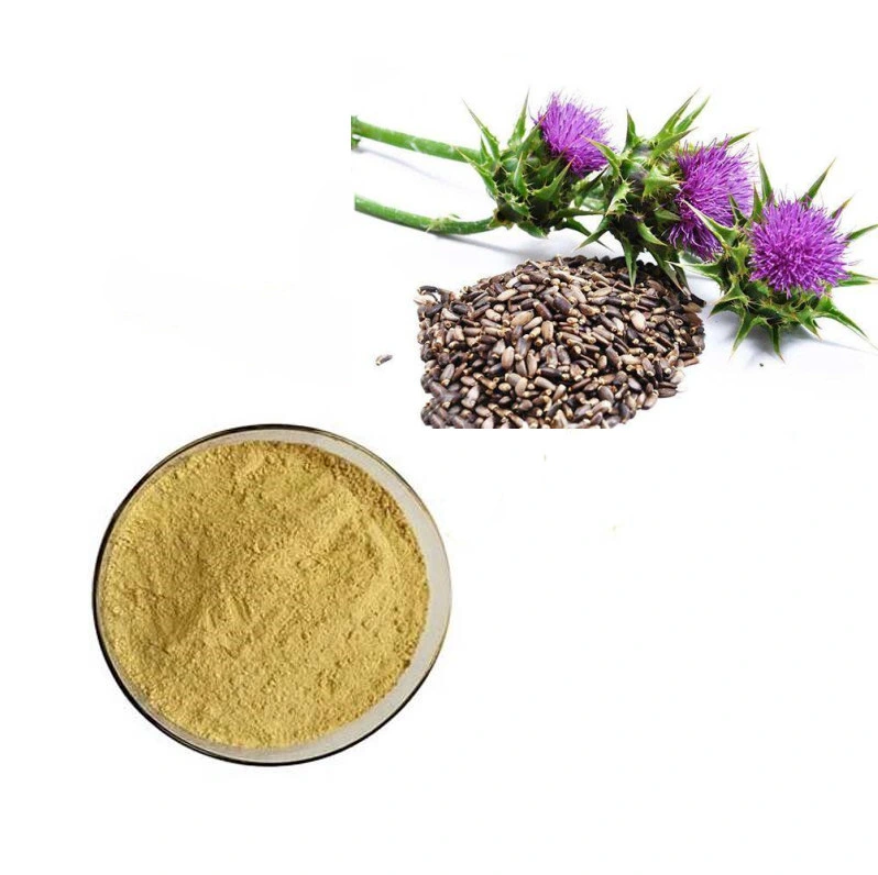 Best Milk Thistle Extract Silybum Marianum Extract CAS No. 84604-20-6