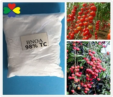 Tomato Hormone 120-23-0 2 Pgr Beta-Naphthoxyacetic Acid Bnoa 98%Tc