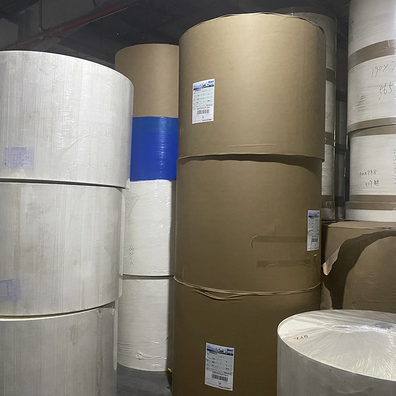 Double or Single PE Coating Paper Stock Paper for Cup Making