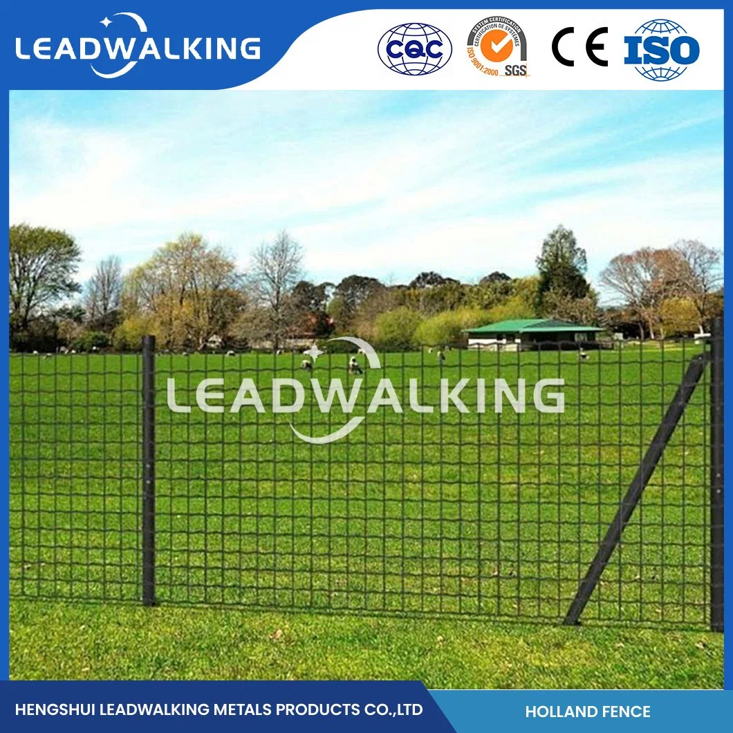 Leadwalking PE Coated Welded Wire Mesh Factory ODM Custom Dutch Welded Wire Fencing China 50.8X76.2mm Mesh Holland Wire Fencing