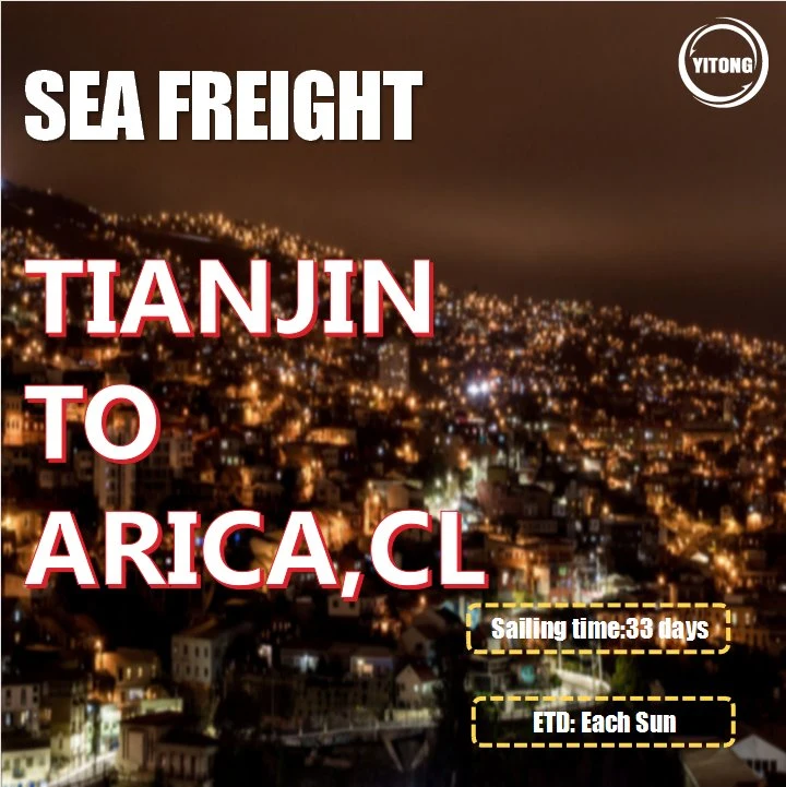 Serviço de Frete Forwarder Ocean Freight de Tianjin para Arica Chile