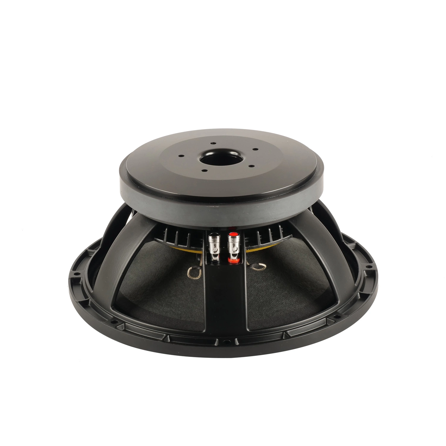 Etapa profesional de 12 pulgadas sonido subwoofer altavoces componente