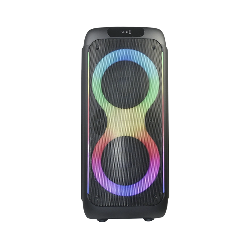 New Arrival Professional Dual 8 Inch High Power Output Audio Box Party Light Wireless Bluetooth Speakers Tms-818