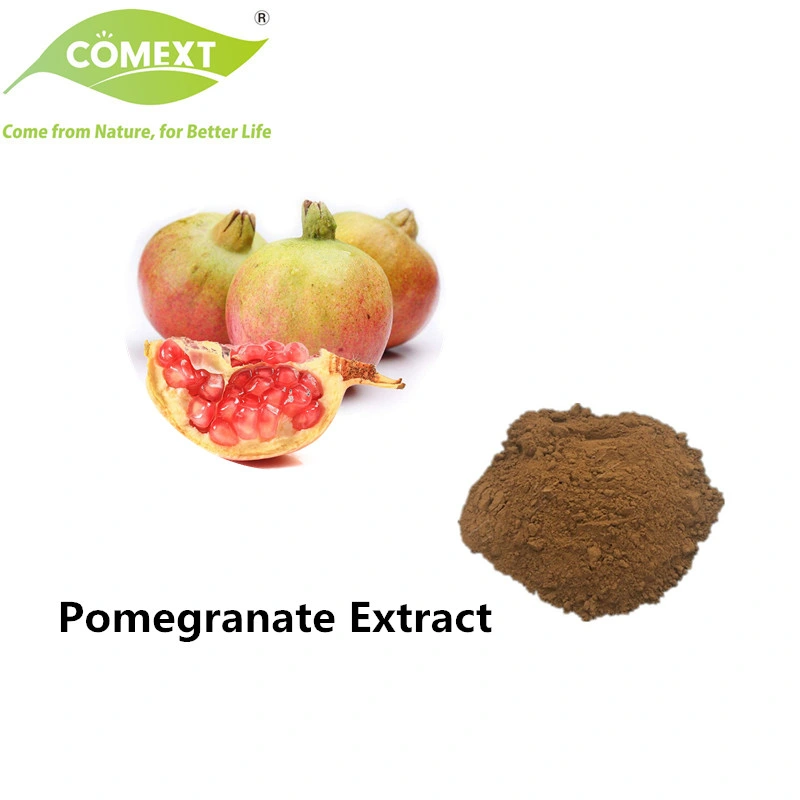 Comext Antioxidant Cosmetics Hot Sale Pomegranate 60% Polyphenols Extract