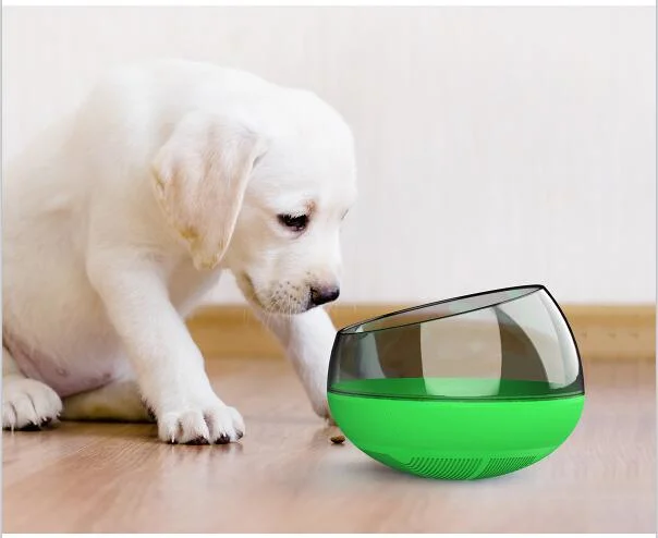 Pet Slow Feeder Non-Spill Feed Anti-Overturning Dogs Bowl