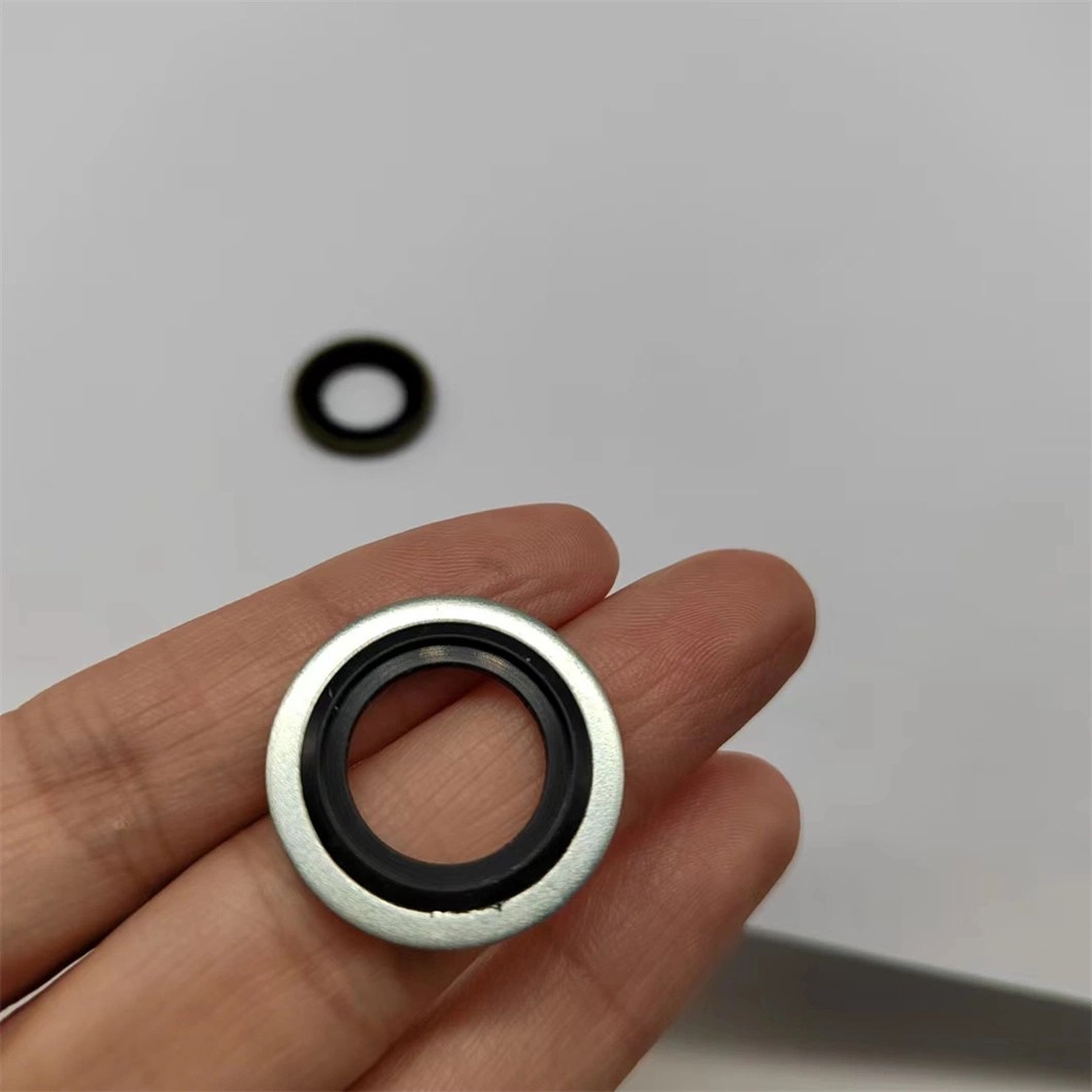 Viele Größen/Kundenspezifische Größen Verfügbar/Kundenspezifische Verpackung Usit Bongded Washer Seal