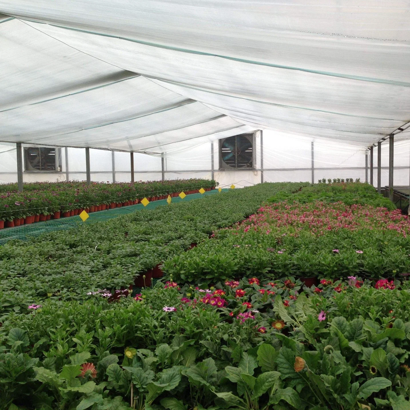 Cover Materical Used Plastic Film Flower House