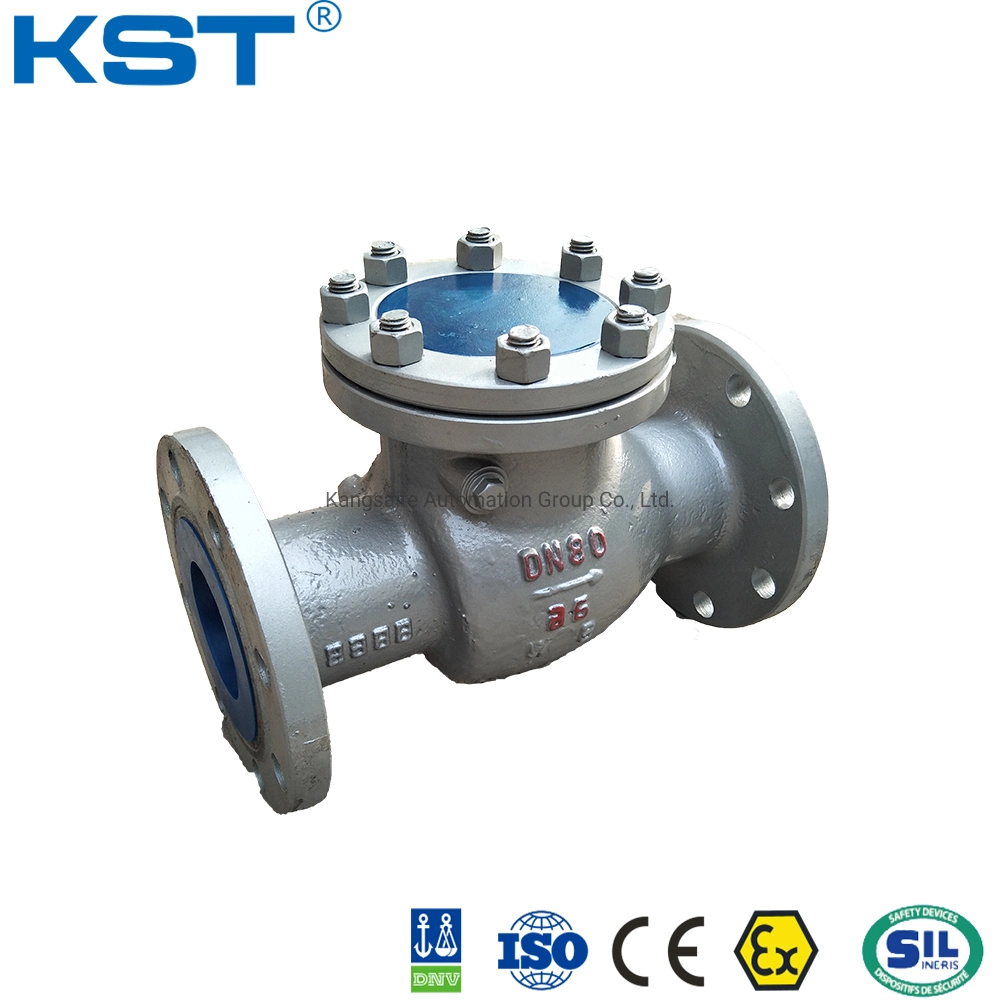 Wcb Check Valve